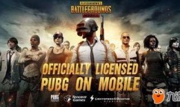 pubg绝地求生官网最新爆料国际服,揭秘绝地求生国际服最新动态与亮点