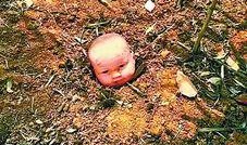 南阳花坛爆料案件最新,真相大白，疑云散去