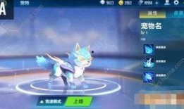 qq飞车爆料最新宠物,神秘力量觉醒，速度与激情的完美融合